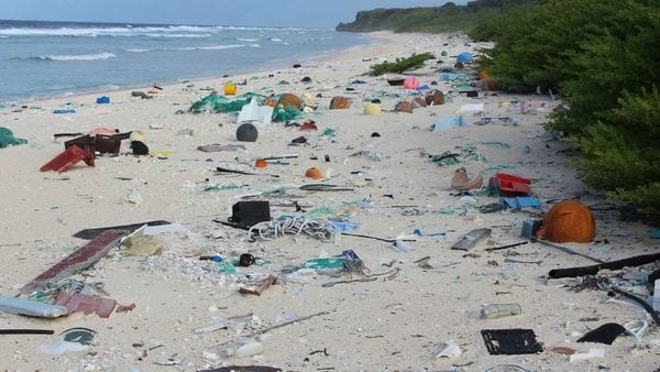 [VIDEO] Henderson, la remota isla en el Pacífico con mayor densidad de basura del planeta