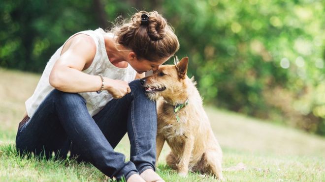 Perros al parque: cómo tener una sana convivencia entre mascotas y personas