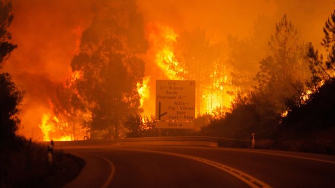 Al menos 62 personas muertas deja incendio forestal en Portugal