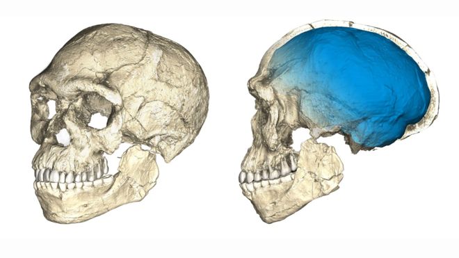 El fascinante hallazgo del primer ‘Homo sapiens’ que reescribe lo que se sabe del origen humano