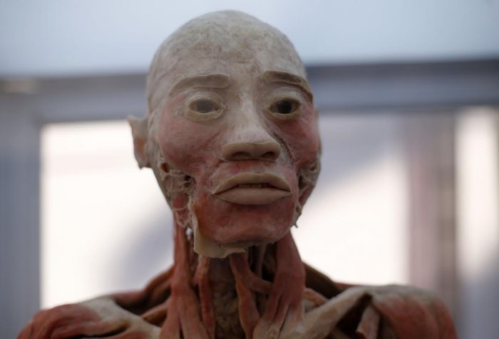 Bodies llega a Santiago con cuerpos humanos reales