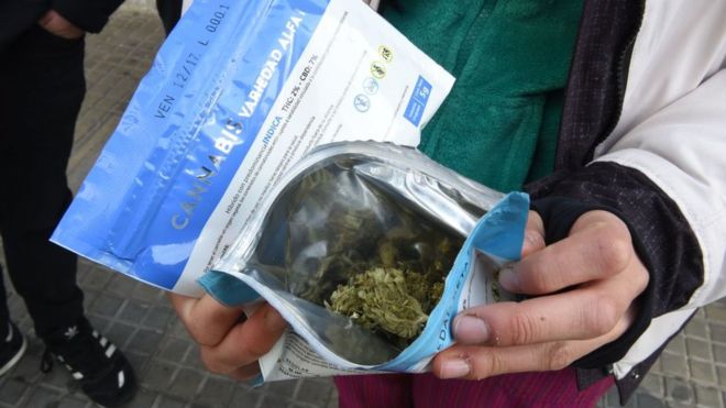 Quién puede comprar marihuana en Uruguay y otras 3 preguntas sobre el inicio de la venta de cannabis para uso recreacional en farmacias