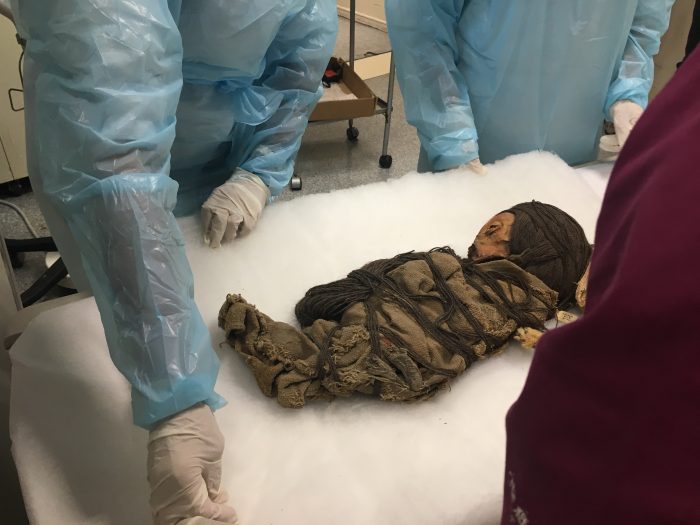 Usan un scáner para examinar momia de dos mil años de antigüedad en Antofagasta