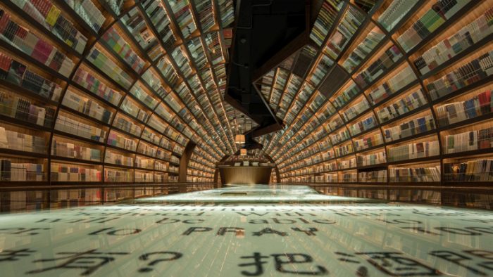[VIDEO] Conoce la «Biblioteca Infinita», un paraíso para los amantes de la lectura