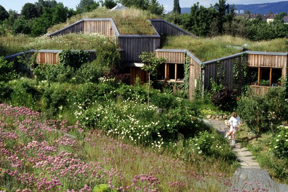 Alemania, sus bosques y la visión de un arquitecto de viviendas ecológicas