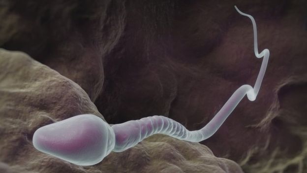 Científicos advierten que la mala calidad del esperma de los hombres puede llevar «a la extinción de la especie humana»