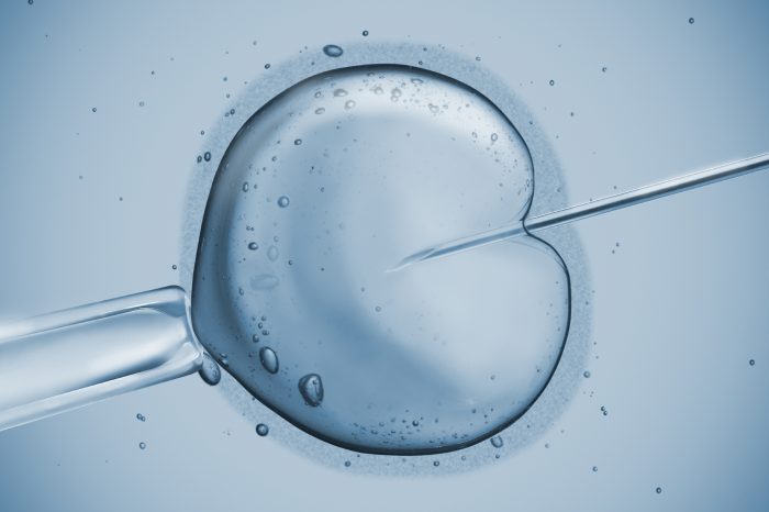 Por primera vez EE.UU. vez logra modificar los genes de embriones humanos