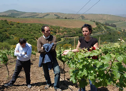 La científica chilena y su apuesta por las viñas sustentables