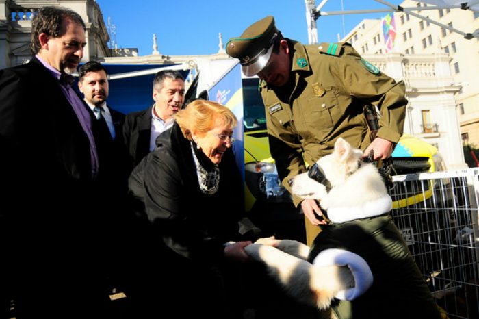 Ya es un hecho: presidenta Bachelet promulga ley sobre tenencia responsable de animales