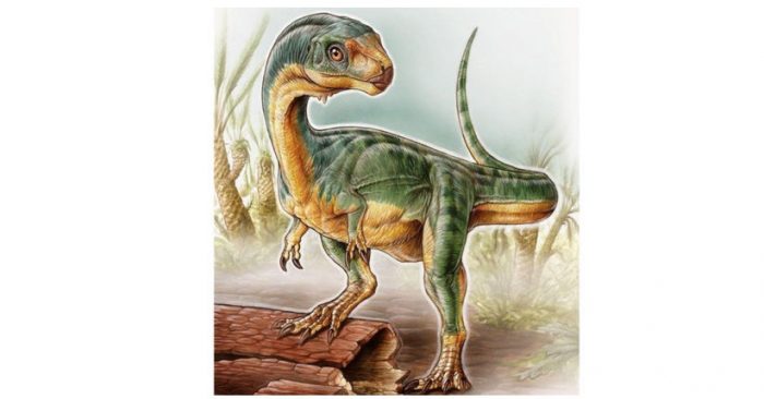 Resuelven el misterio del Chilesaurus, el «Frankenstein» de los dinosaurios que no coincidía con ninguna especie conocida