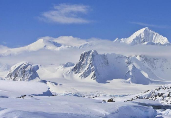 Presentan programa de conservación subantártica en una de los principales eventos de ecología