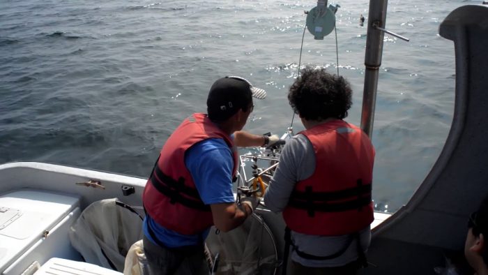Científicos chilenos descubren que bacterias de zonas marinas anóxicas poseen la capacidad de producir oxígeno