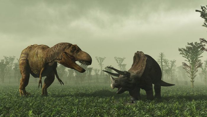 Hallazgo de cráneo fosilizado permite medir la inteligencia de los dinosaurios