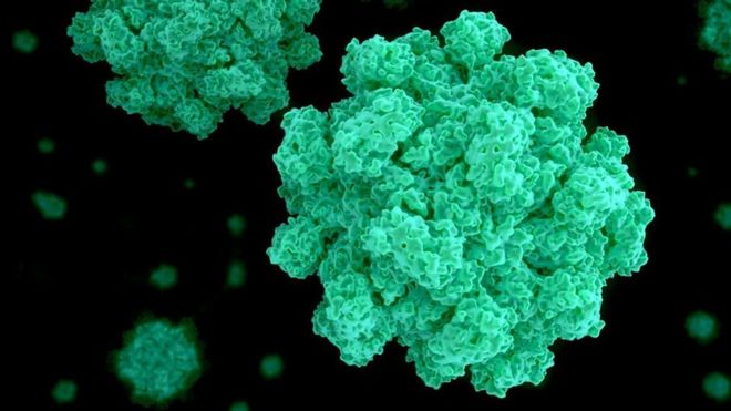 Vómitos, diarrea y deshidratación: ¿por qué el norovirus es tan contagioso?