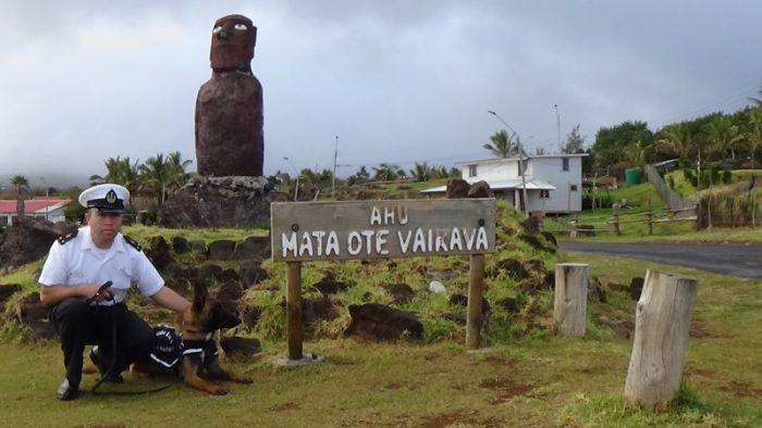 [VIDEO] Gobernación Marítima de Isla de Pascua cuenta con su primer can antidrogas de la Armada