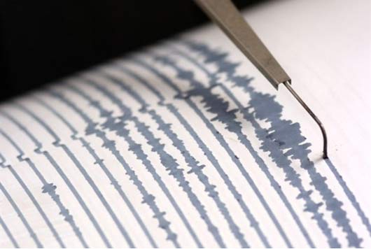 Sismo de magnitud 5,1 sacudió la zona central del país