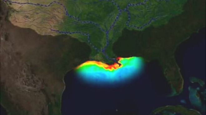 La “zona muerta” del golfo de México: la inmensa área del tamaño de El Salvador que preocupa a los científicos porque la vida marina es inviable
