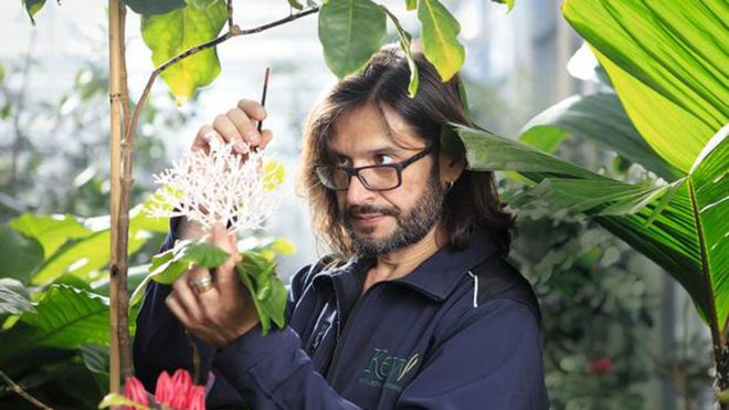 Carlos Magdalena, el «mesías de las plantas» que salva especies de la extinción