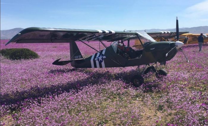 [VIDEO] Indignación por aterrizaje de once avionetas sobre desierto florido en Atacama