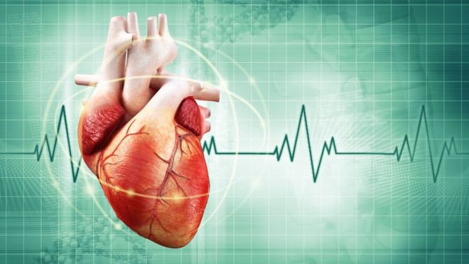 La paradoja cardiaca: cuando ser delgado no implica necesariamente tener un corazón sano