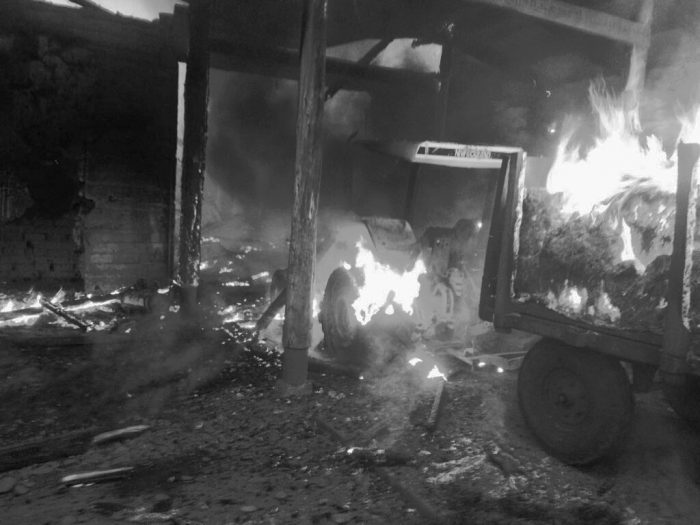 Caballos murieron calcinados tras nuevo ataque incendiario en Traiguén