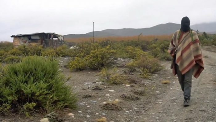 [VIDEO] «Lo que hacemos es un ejercicio de autodefensa»: el conflicto entre mapuches y terratenientes en la Patagonia argentina