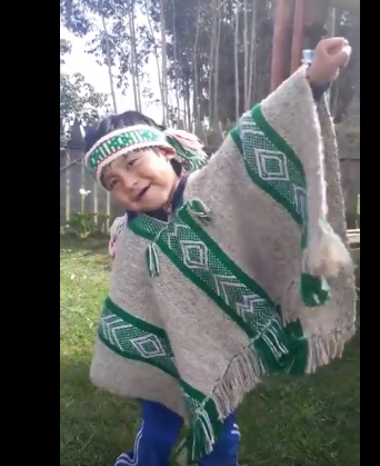 [VIDEO] Mensaje antiterrorista de niño mapuche se viraliza por redes sociales