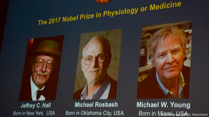 Tres estadounidenses, Nobel de Medicina por estudios del «reloj biológico»
