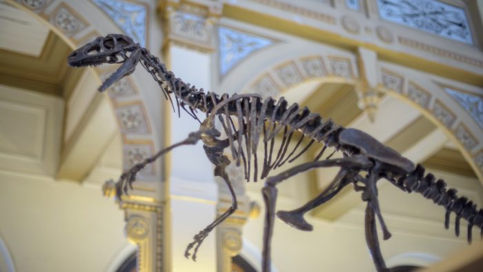 Dinosaurios sudamericanos se dan cita en histórica exposición en Santiago