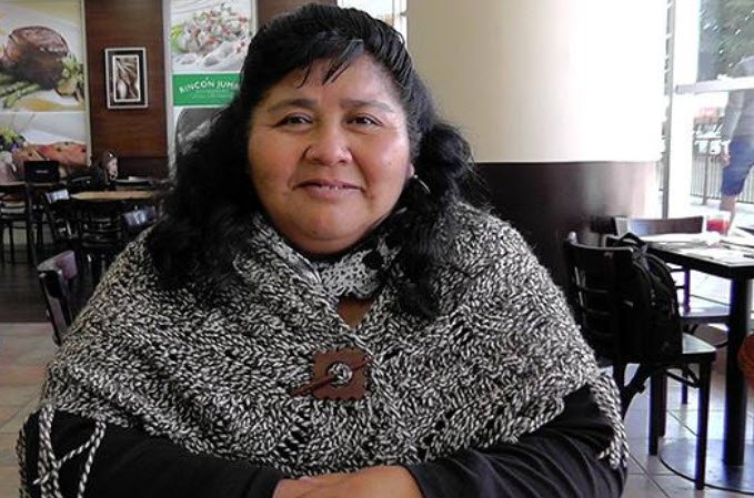 La primera diputada mapuche de Chile