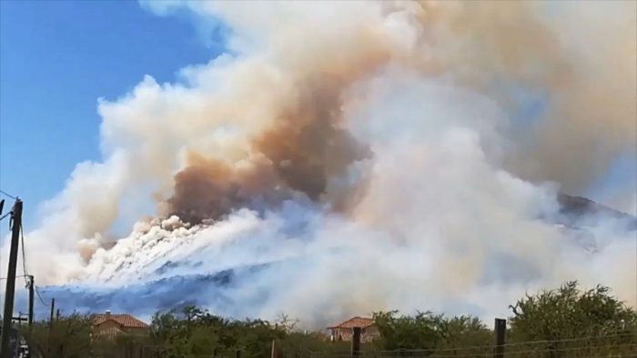 [VIDEO] Onemi declara alerta roja por incendio forestal en Chicureo