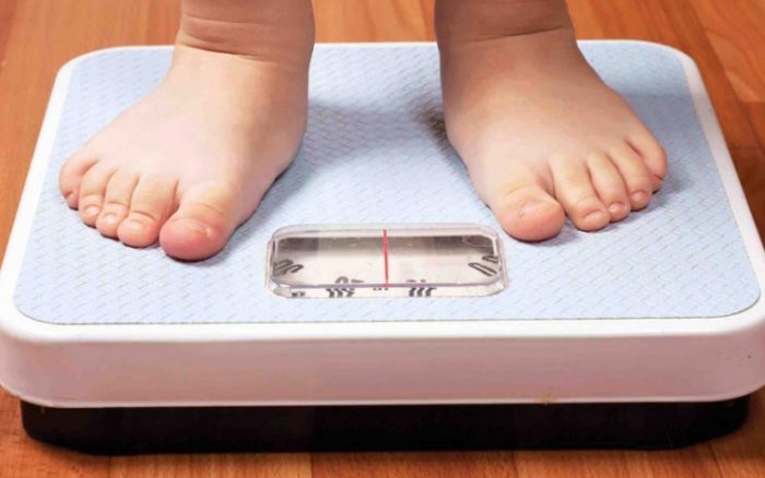 La importancia de un tratamiento integral  para prevenir el sobrepeso y la obesidad