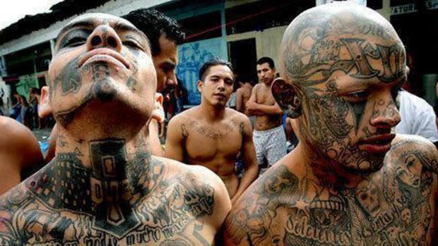 Detienen a 267 pandilleros de la Mara Salvatrucha en EE.UU. y en El Salvador