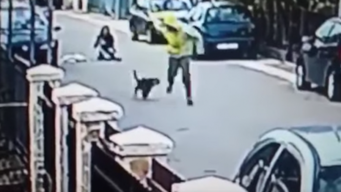 [VIDEO] La patrulla canina: heroico perro salva a una mujer de ser asaltada por un ladrón