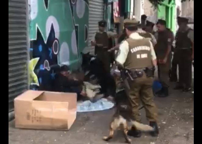 [VIDEO] Denuncian violento actuar de carabineros con perros contra indigente en la Vega