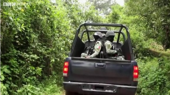 [VIDEO] Así opera la «policía del aguacate», encargada de proteger el «oro verde» de México