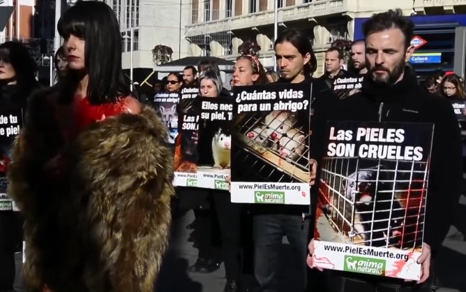 [VIDEO] Activistas animalistas protestan contra el uso de pieles en la moda