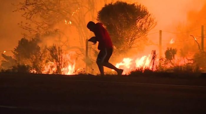 [VIDEO] El comentado registro de un hombre salvando a un conejo en medio de los incendios forestales de California