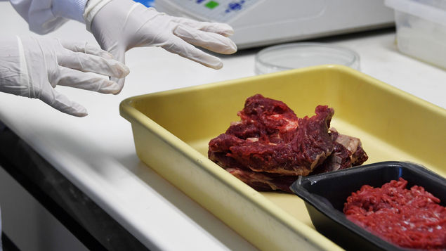 Analizan la evolución del gen que hace que la carne roja sea cancerígena