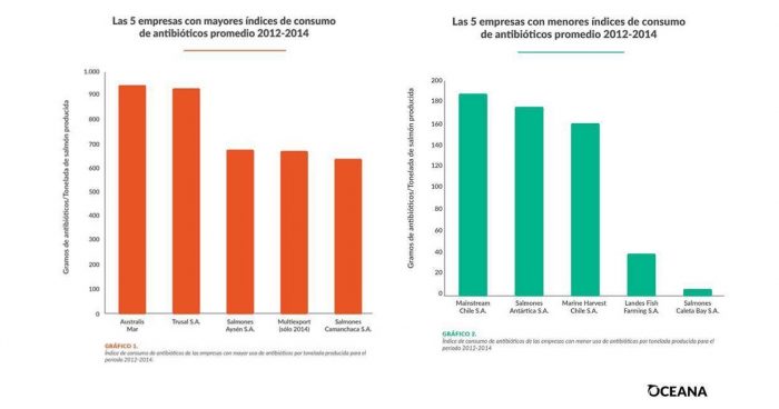 La primera radiografía al uso de antibióticos ​que deja al desnudo a la industria salmonera ​chilena