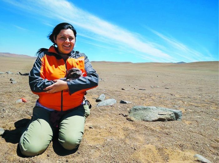 Millarca Valenzuela: la única geóloga del país que estudia meteoritos