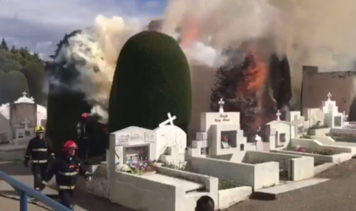 [VIDEO] Individuos queman históricos cipreses del cementerio de Punta Arenas
