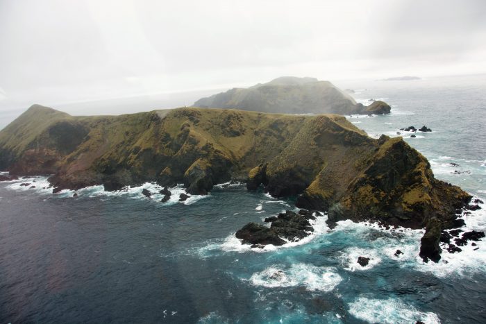 Con la creación de dos nuevos parques marinos Chile fija el estándar global en materia de protección de la biodiversidad