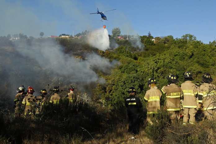 Decretan alerta roja en Quilpué por incendio forestal