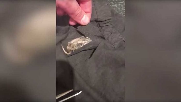 [VIDEO] Mujer encuentra un ratón cosido en el uniforme escolar de su hija