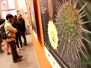 Exposición “Flora de Valparaíso” en Museo de Historia Natural de Valparaíso
