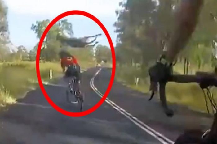 [VIDEO] Andar en bicicleta nivel Australia: canguro salta sobre mujer en plena carretera