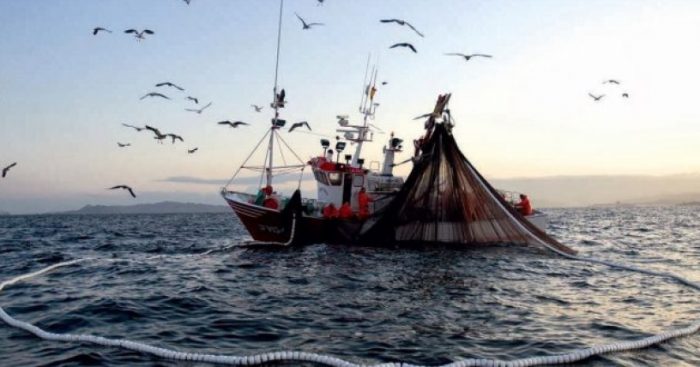 Condepp exigió prioridad del Gobierno para anular la Ley de Pesca