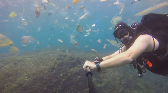 [VIDEO] «Plástico, plástico, plástico»: el potente mensaje de Rich Horner buceando en un mar de basura