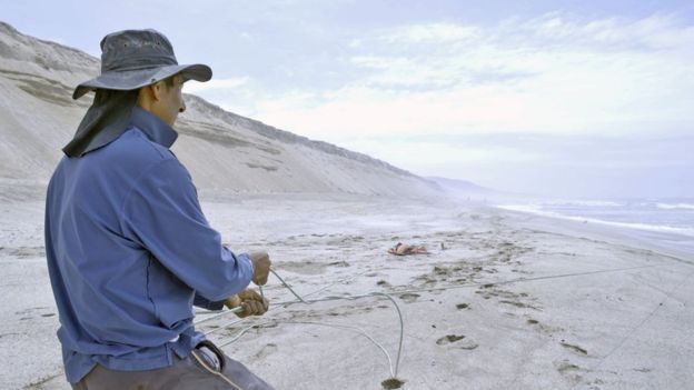 Bolivia Mar, la playa que Perú le cedió a Bolivia y que lleva 26 años en abandono